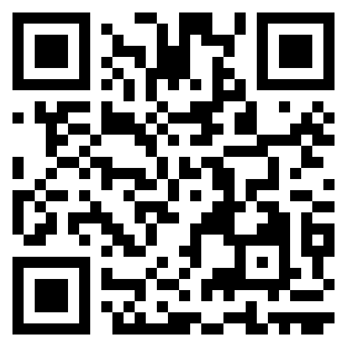 QR Code to palsevent.xyz